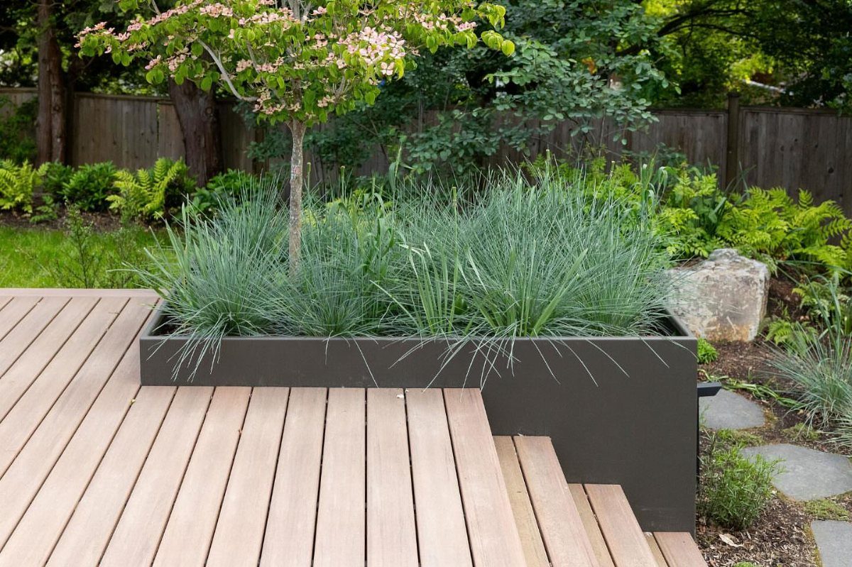 A dark grey rectangular planter filled with ornamental grasses and a small tree on a wooden deck.