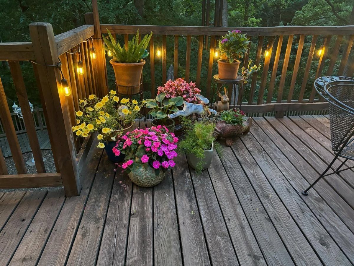 Various colorful flowering plants in different sized containers arranged on a wooden deck with string lights.