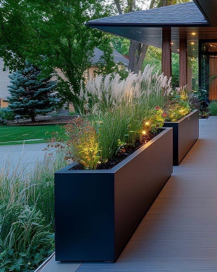 Long black rectangular planters filled with ornamental grasses and illuminated plants on a wooden deck.