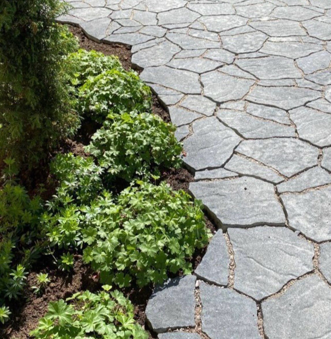 Grey irregular flagstone pavers bordering a garden bed with green leafy plants and dark soil.