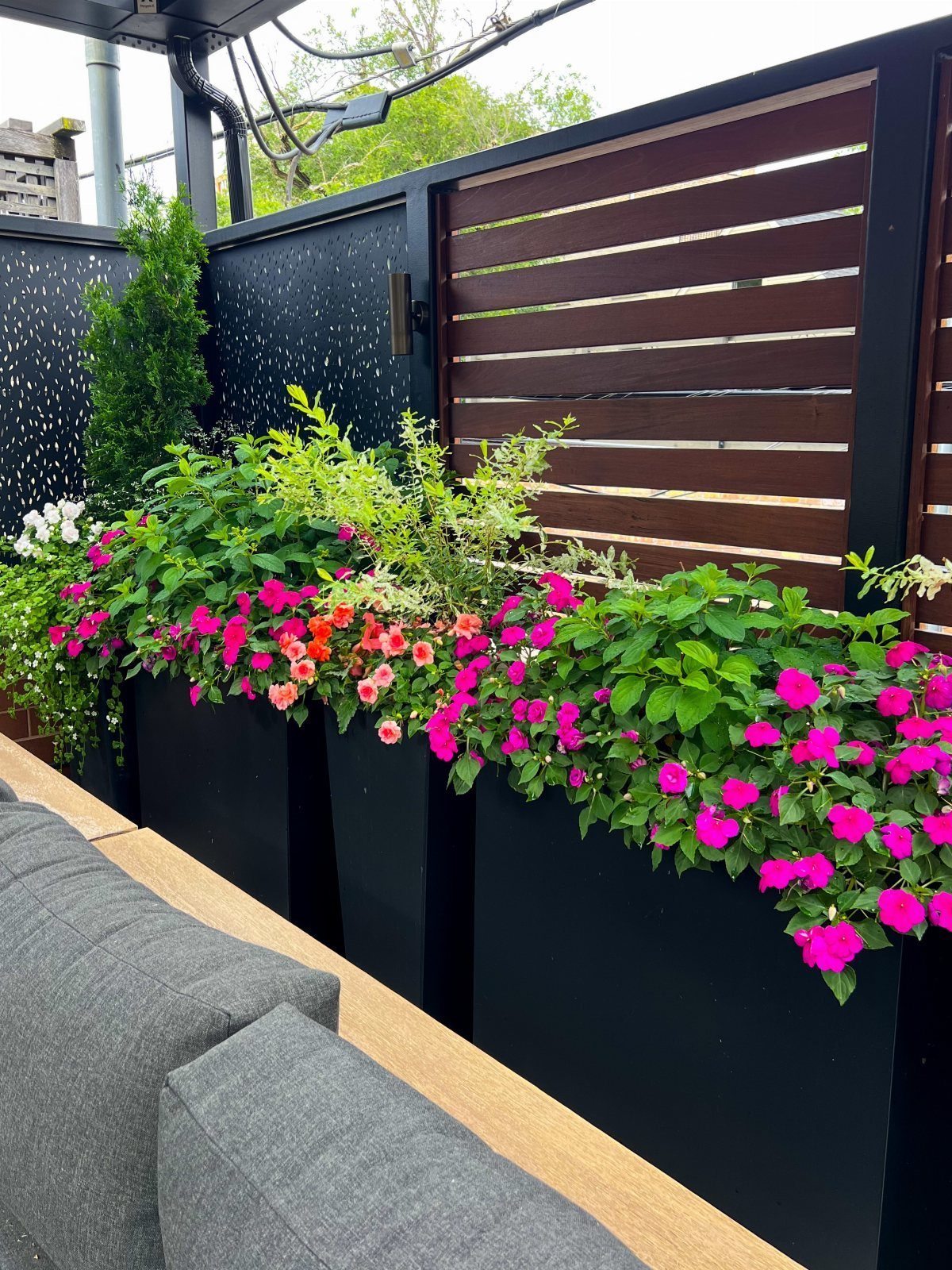 Black rectangular planters filled with bright pink and orange flowers along a wooden slat privacy screen.