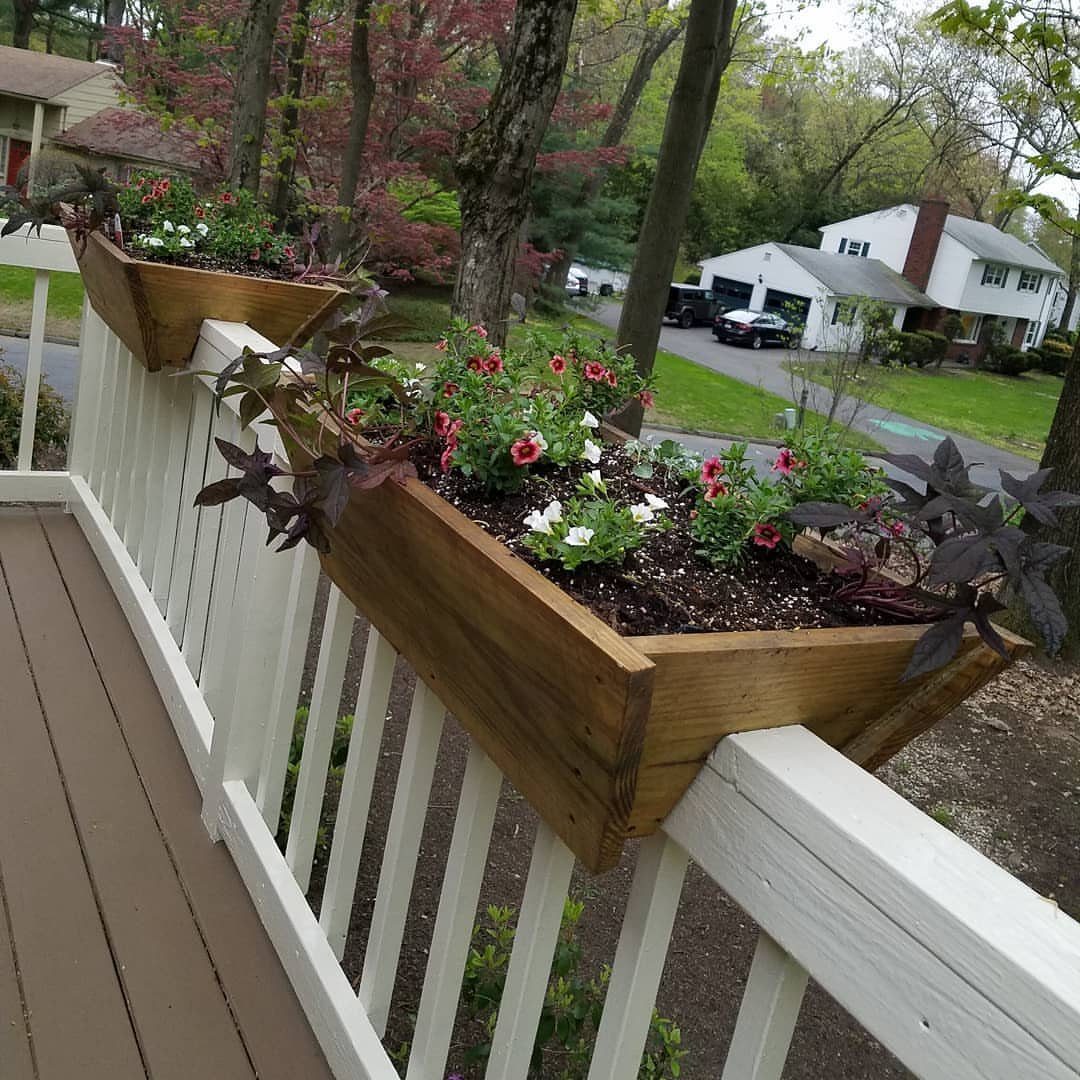 Wooden planter boxes filled with pink and white flowers mounted on a white deck railing.