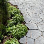 Grey irregular flagstone pavers bordering a garden bed with green leafy plants and dark soil.
