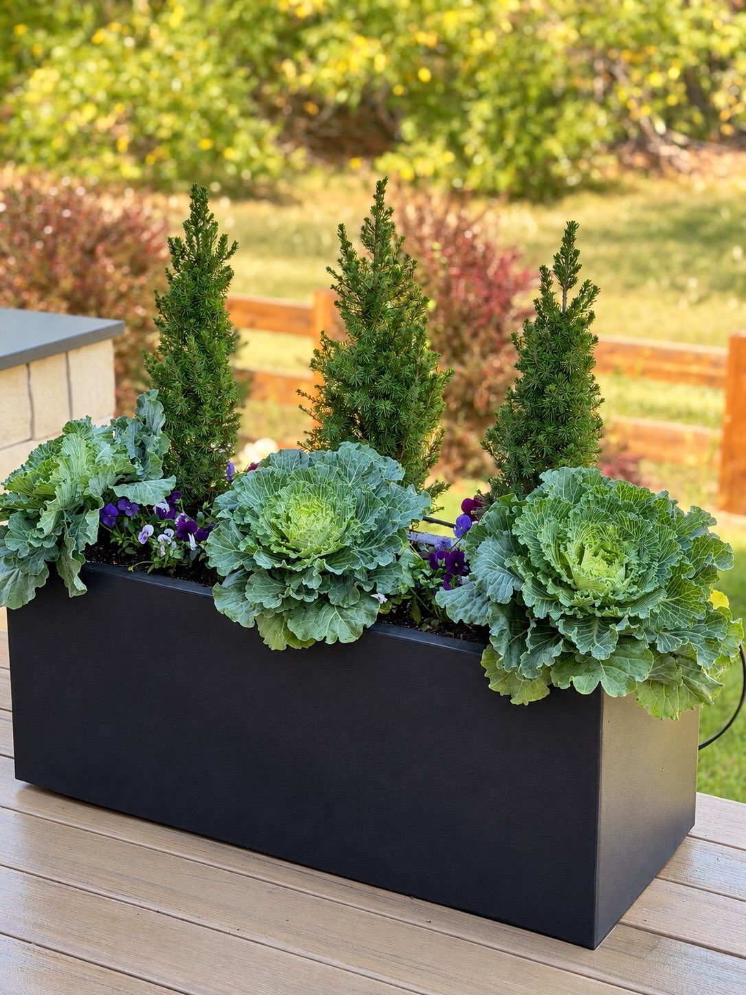 A black rectangular planter box containing evergreen shrubs, ornamental kale, and purple pansies on a deck.
